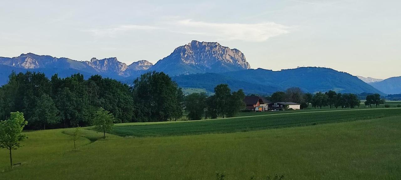 Gaestehaus Moorbad Gmoes Konuk evi Laakirchen Dış mekan fotoğraf