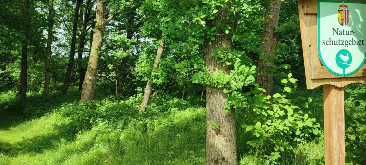 Gaestehaus Moorbad Gmoes Konuk evi Laakirchen Dış mekan fotoğraf