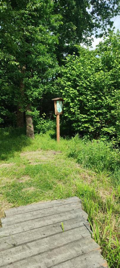 Gaestehaus Moorbad Gmoes Konuk evi Laakirchen Dış mekan fotoğraf